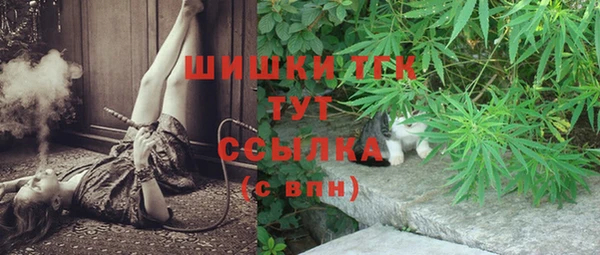 прущий лед Алзамай