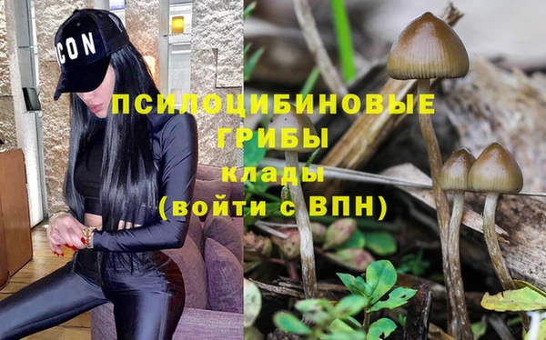 прущий лед Алзамай