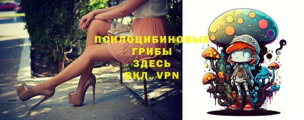 молекула духа Алексин