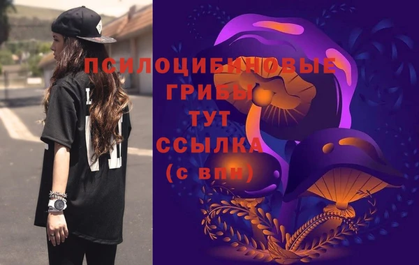 сатива Семёнов