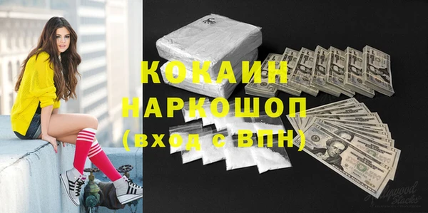 прущий лед Алзамай