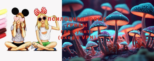 прущий лед Алзамай